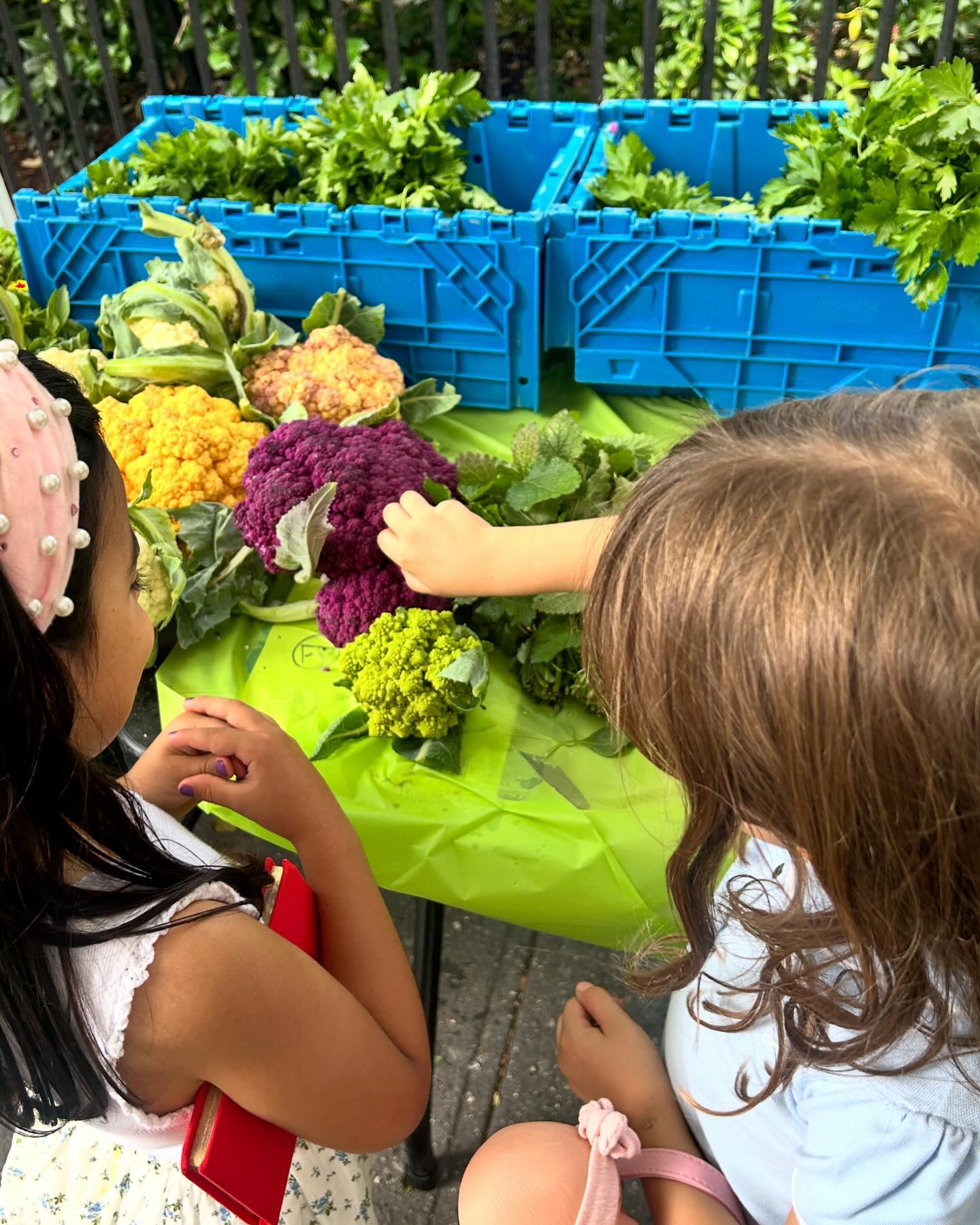 Take your kids to your local farmers’ market! It’s a wonderful opportunity for them to discover fresh fruits and vegetables, learn where their food comes from, and build healthy eating habits. Let’s make nutrition fun and delicious! 🍓🫑✨#FarmersMarket #HealthyKids #EatTheRainbow #rainbowkitchen