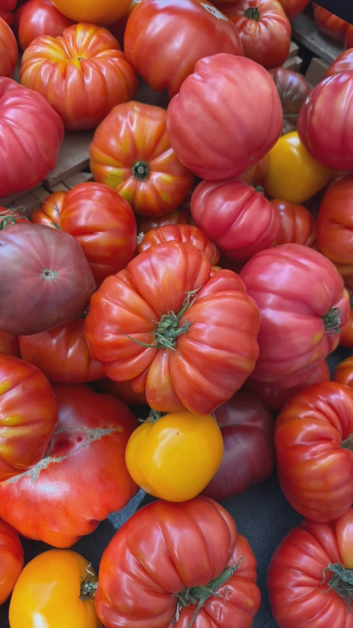 Whether it’s salmon, vegetarian, gluten-free, or allergy-friendly, everything is freshly prepared in our Williamsburg kitchen. As a nutritionist and a doctor, we’re committed to revolutionizing NYC’s school food. It’s been a journey, and we’re growing fast—here to stay and make a difference ❤️