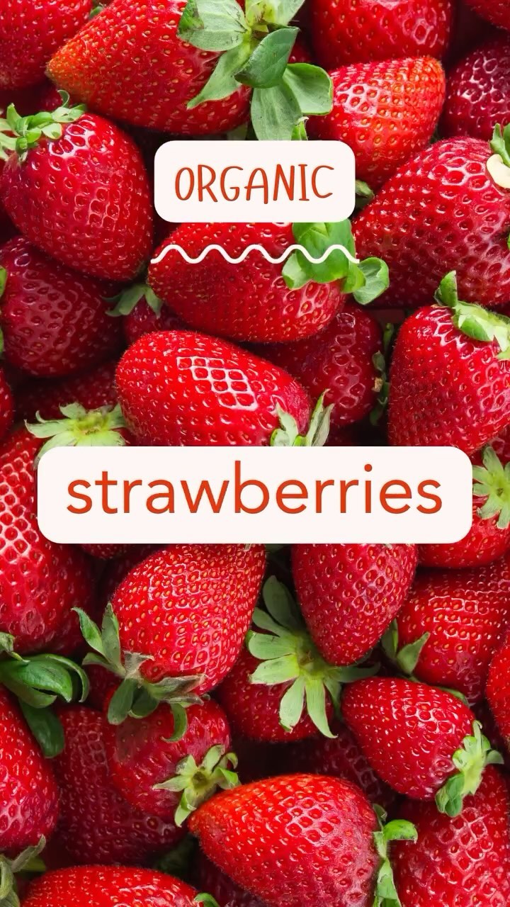 This September, our kids’ meals were bursting with color and packed with nutrients.🌈

From vibrant carrots and sweet bell peppers to juicy tomatoes and crisp cucumbers, we made sure every plate was a rainbow of fresh, seasonal veggies and fruits. 🥕🍅🍇

Healthy eating made fun and delicious for little ones!

#rainbowkitchenkids #healthykids #organicfood #schoollunch