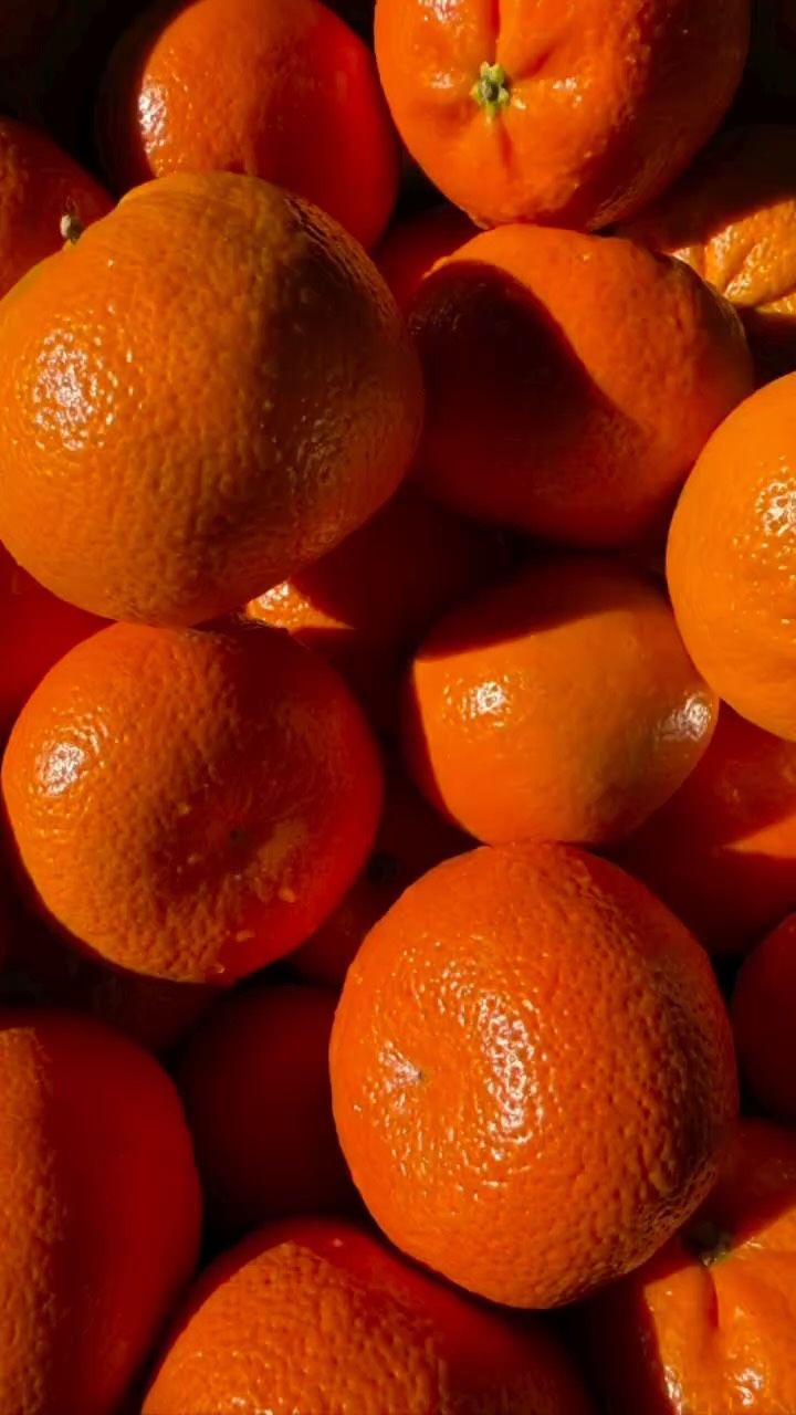 At Rainbow Kitchen, every meal is fresh, homemade, and made mostly with organic ingredients 🌿
Each bite is full of care, and every day is a beautiful, grateful journey 🌈🤍
Thank you to the parents and schools who support us in bringing real food to kids 💛